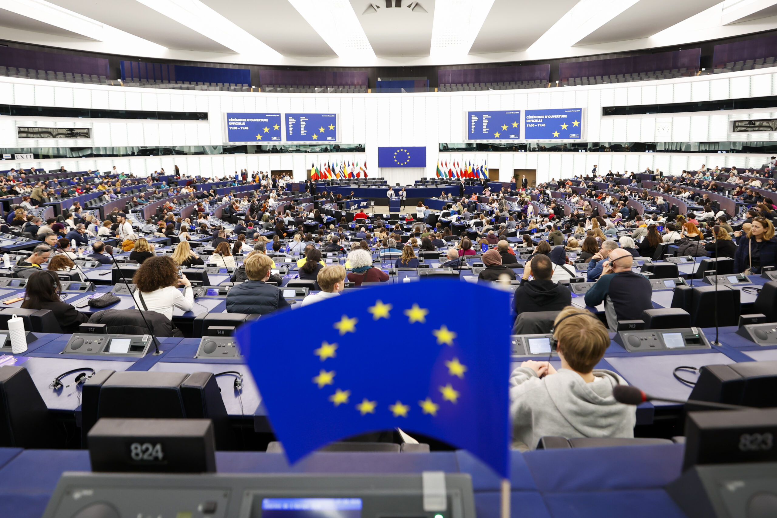 Beyond rhetoric: A closer look at the work of the members of the European Parliament